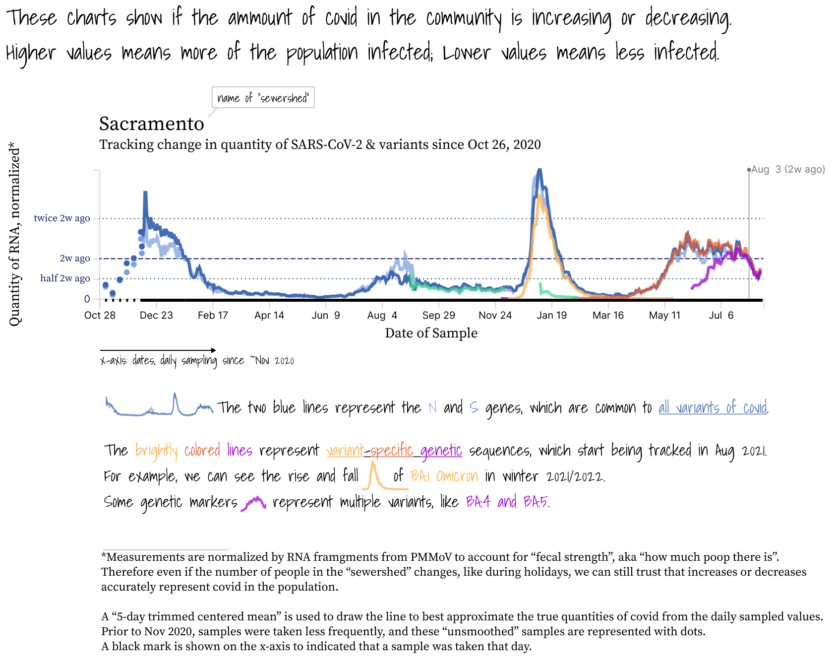 SCAN: Sewer Coronavirus Alert Network